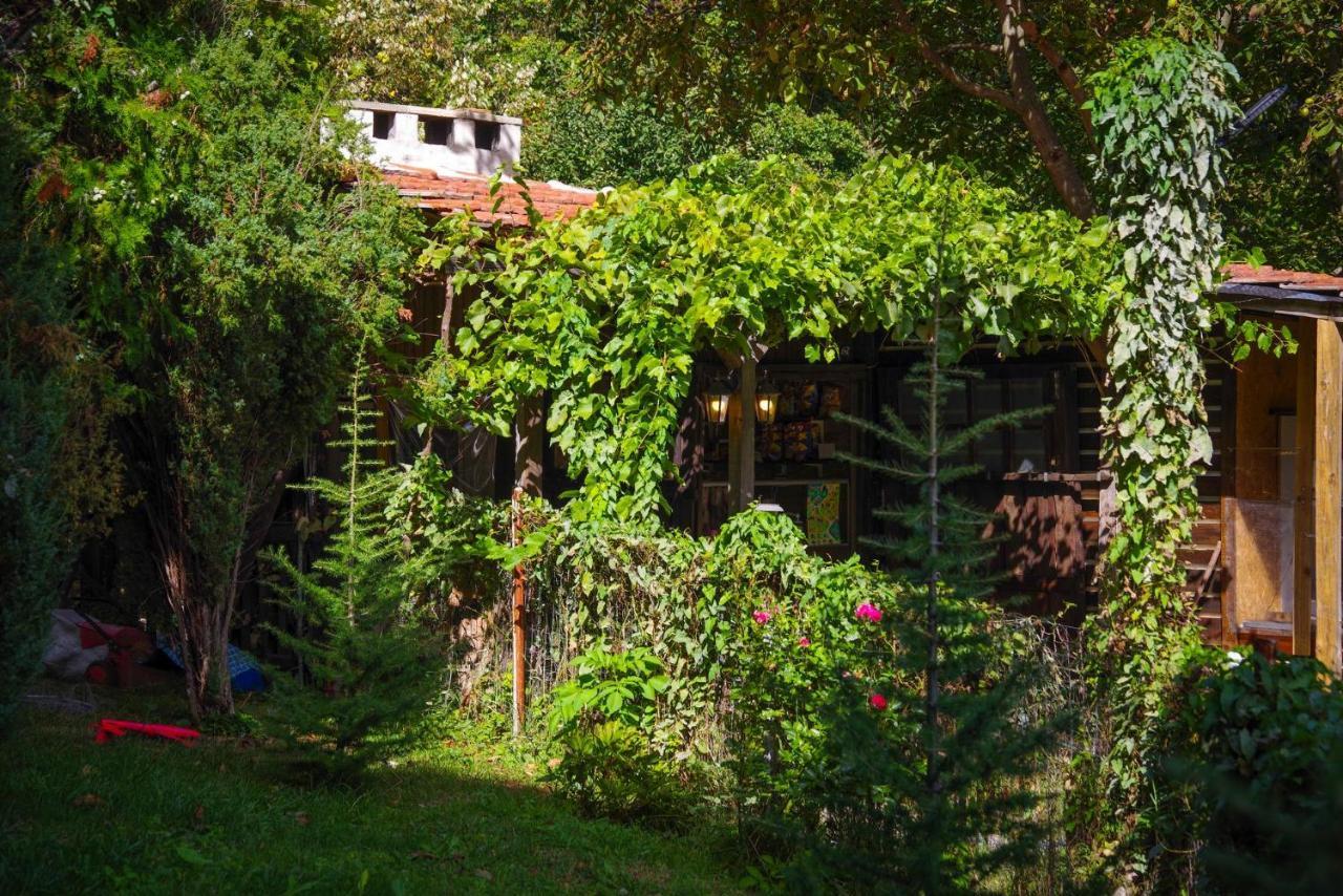 Рибарник Forest Мagic Topolitsa Extérieur photo